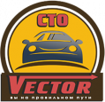 Vector Vector